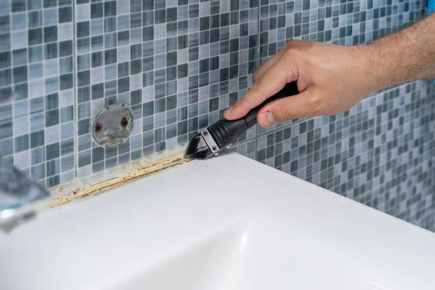 Best Local Mold Removal Service  in Wilton, IA